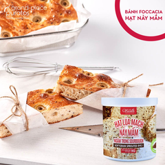 Hạt lúa mạch nảy mầm ngâm Sourdough xô 1kg