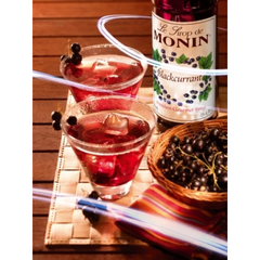 Siro Black Currant Monin 700ml