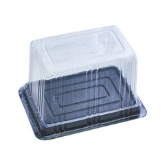 Hộp nhựa A01 (5c)