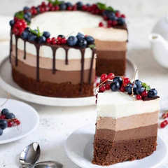 Khuôn nướng bánh Springform UniBaker 22cm