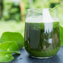 Bột rau má Neicha 100g