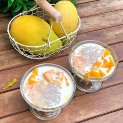 Bột cốt dừa Mina 50g