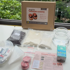 [SNL] Bánh cheesecake Black Pink Hồng ( Giao toàn quốc)