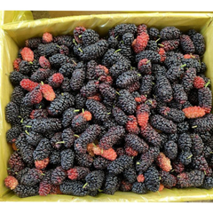 Dâu tằm tươi 1kg