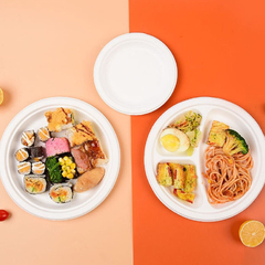 Đĩa bã mía phân hủy sinh học KOKUSAI 9IN - 180831 (22,68cm)