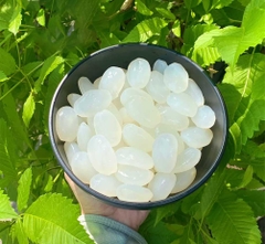 Hạt đác tươi 1kg