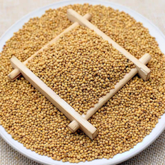 Hạt mù tạt vàng Mustard Seed 10g