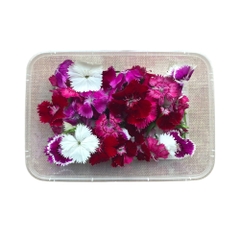 Hoa Cẩm Chướng Dianthus Edible Flowers hoa tươi trang trí bánh 12g