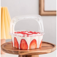 [Thùng] Hộp nhựa nắp gập  HY-09 [50c/lốc, 600c/thùng)