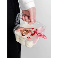 [Thùng] Hộp nhựa nắp gập  HY-09 [50c/lốc, 600c/thùng)