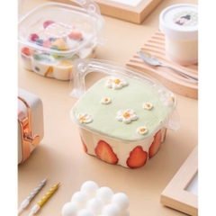 [Thùng] Hộp nhựa nắp gập  HY-09 [50c/lốc, 600c/thùng)