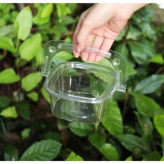 [Thùng] Hộp nhựa nắp gập  HY-09 [50c/lốc, 600c/thùng)