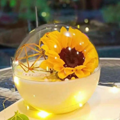 Hộp đựng bánh hình cầu