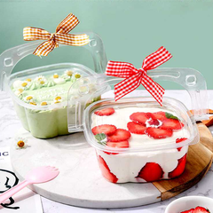 Hộp nhựa nắp gài HY-091