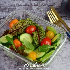 Lá dền gân Red Sorrel trang trí bánh 100g