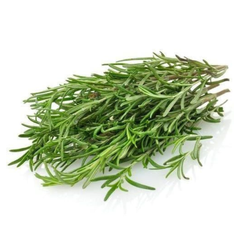 Lá hương thảo tươi (Rosemary) 50g