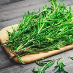 Lá hương thảo (Rosemary) tươi ~30g