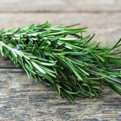 Lá hương thảo (Rosemary) tươi ~30g