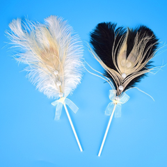 Lông vũ ngọc trai đen trang trí bánh