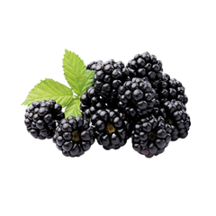 Phúc bồn tử đen 250g