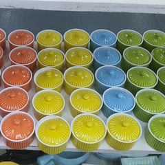 Ramenkin sứ màu sắc có nắp