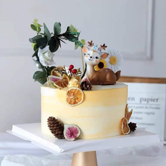 Cam thái lát sấy khô trang trí 50gr