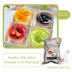 Combo 4 set Mousse hoa quả 4 vị ( Xoài - Dâu - Việt Quất - Kiwi) tặng kèm phới lồng