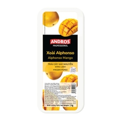 Xoài xay nhuyễn đông lạnh Andros 1kg