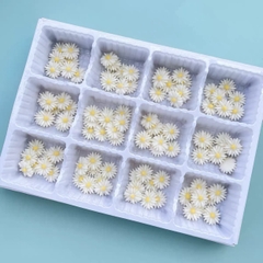 Kẹo trang trí hình cúc họa mi trắng