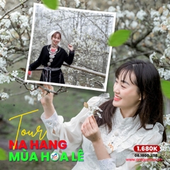 Tour Na Hang - Mùa Hoa Lê Nở