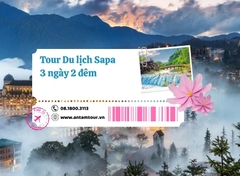 Tour Sapa 3 Ngày 2 Đêm từ Sài Gòn, giá nhiều ưu đãi