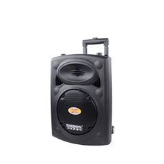 Loa Di Động Temeisheng DP-107