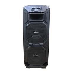 Loa kéo di động 2 bass A/d/s DE-TC212F