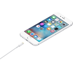 Cáp Apple USB-A sang Lightning (1m)