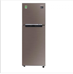 Tủ lạnh Inverter Samsung RT22FARBDSA 243 lít