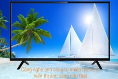 Smart Tivi TCL 49 inch L49S62