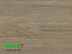 Sàn nhựa hèm khóa Eco'st mã EC507