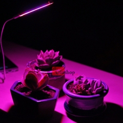 Đèn Led trồng cây trong nhà