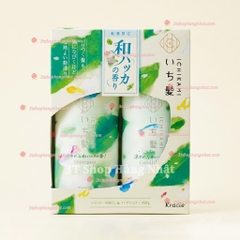 Bộ dầu gội xả Ichikami (450g x 2)