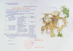 SÂM NGỌC LINH 5 củ