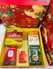 SET QUÀ TẶNG HỒNG SÂM ĐÔNG TRÙNG NM600