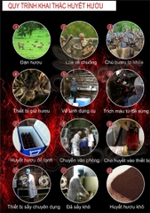 Huyết nhung hươu khô Siberia LB Nga 50g bổ máu dưỡng khí