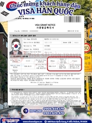 VISA HÀN QUỐC “VỀ BỜ” – TRỌN VẸN HÀNH TRÌNH ĐÓN THU & SĂN LÁ VÀNG RỰC RỠ!