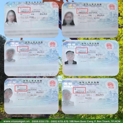 🌸 HÀNH TRÌNH RỰC RỠ: 43 VISA TRUNG QUỐC ĐÃ CHÍNH THỨC TÌM ĐƯỢC CHỦ NHÂN! 🌸