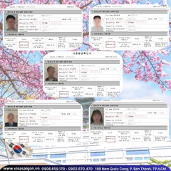 🌸 XỨ KIM CHI VẪY GỌI: CHÚC MỪNG NHỮNG CHIẾC VISA HÀN QUỐC ĐÃ TÌM THẤY CHỦ NHÂN! 🌸