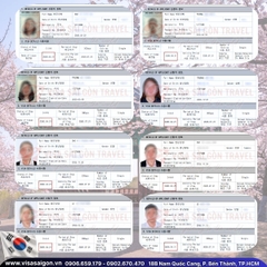 🌸 DẠO BƯỚC HÀNH TRÌNH DU XUÂN: CHÚC MỪNG NHỮNG CHỦ NHÂN MỚI CỦA VISA HÀN QUỐC! 🌸