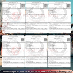 🎡 THẾ GIỚI GIẢI TRÍ VÔ TẬN: CHÚC MỪNG 12 VISA HỒNG KÔNG ĐÃ CẬP BẾN! 🎡