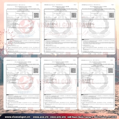 🔥HƯƠNG CẢNG VẪY GỌI: CHÚC MỪNG NHỮNG TẤM VISA HONGKONG "VƯỢT ẢI" THÀNH CÔNG!