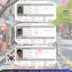 🌸DẠO BƯỚC KHAI XUÂN: CHÚC MỪNG 3 TẤM VISA HÀN QUỐC ĐÃ CHÍNH THỨC "CẬP BẾN"!