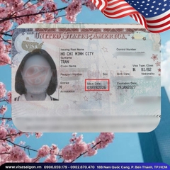 KHAI MỞ NĂM MỚI RỰC RỠ: CHÚC MỪNG 1 VISA MỸ CHÍNH THỨC "CẬP BẾN"!